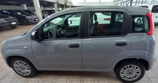 Fiat Panda 1.0 FireFly S&S Hybrid - foto 4 di 10