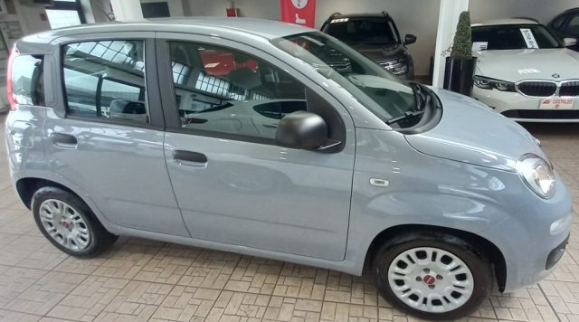 Fiat Panda 1.0 FireFly S&S Hybrid - foto 2 di 10