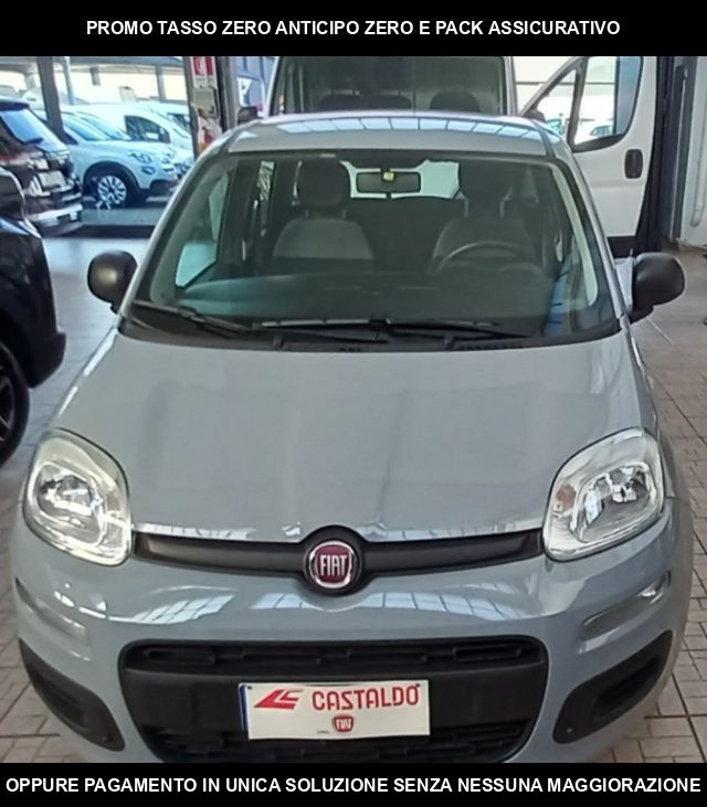 Fiat Panda 1.0 FireFly S&S Hybrid usato a TORINO