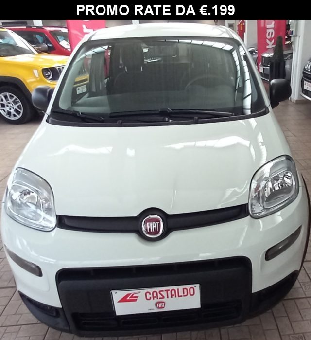 Fiat Panda 1.0 FireFly S&S Hybrid usato a TORINO