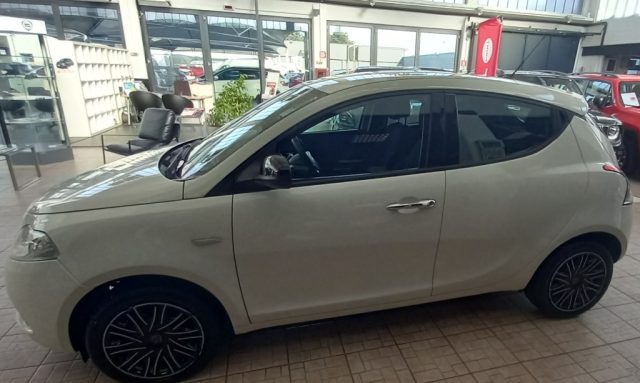 Lancia Ypsilon 1.2 69 CV 5 porte Gold usato a TORINO