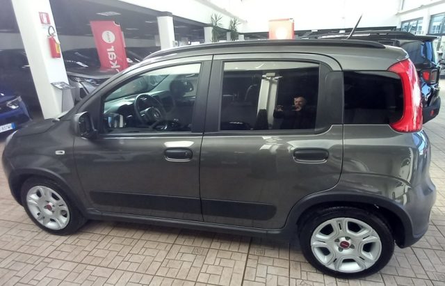 Fiat Panda 1.0 FireFly S&S Hybrid City Life usato a TORINO
