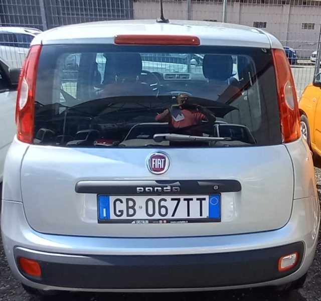 Fiat Panda 1.2 Pop usato a TORINO