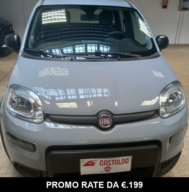 Fiat Panda 1.0 FireFly S&S Hybrid City Life usato a TORINO