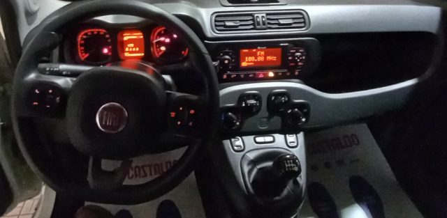 Fiat Panda 1.0 FireFly S&S Hybrid City Life usato a TORINO