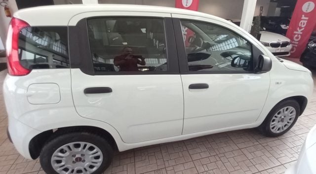 Fiat Panda 1.2 Easy Van 4 posti - foto 3 di 4