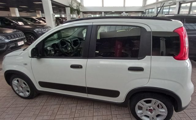 Fiat Panda 1.0 FireFly S&S Hybrid City Life - foto 4 di 4