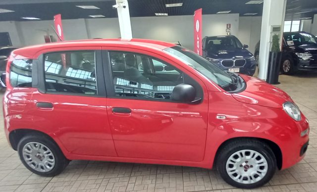 Fiat Panda 1.2 Easy - foto 2 di 4