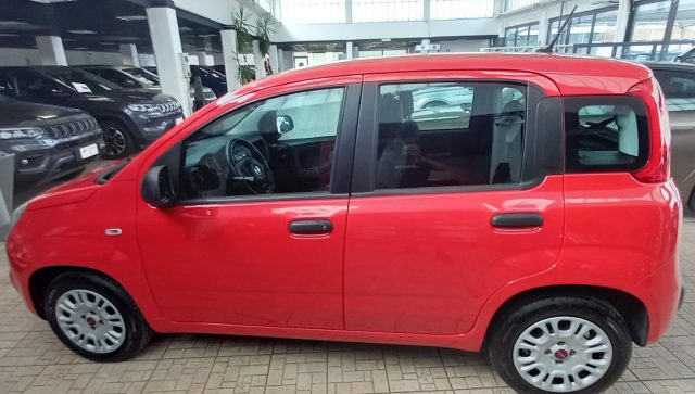 Fiat Panda 1.2 Easy - foto 3 di 4