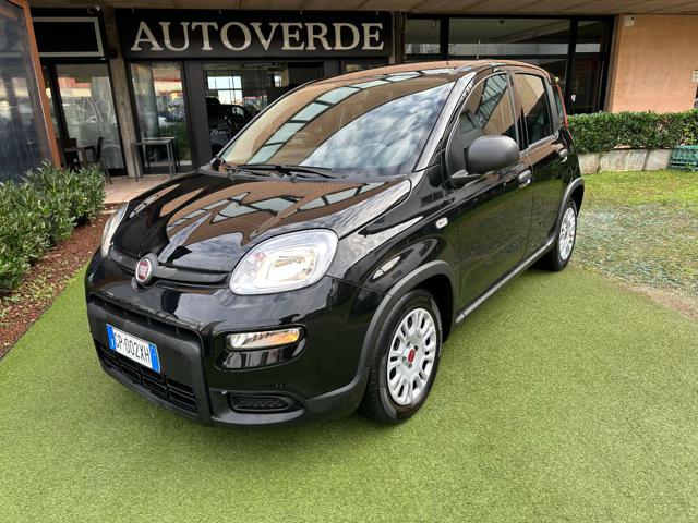 Fiat Panda 1.0 FireFly S&S Hybrid 9000KM OK NEOPATENTATI usato a CURNO