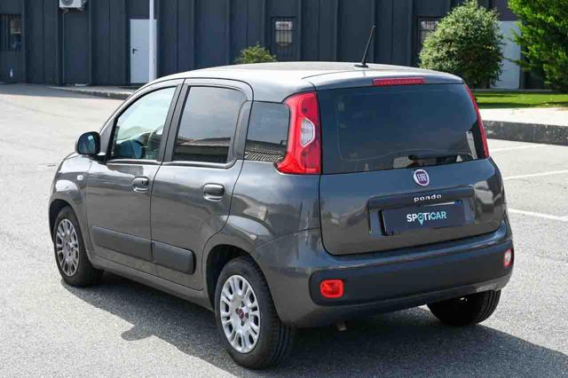 Fiat Panda 1.0 FireFly S&S Hybrid Easy - foto 4 di 4