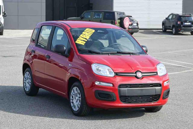 Fiat Panda 1.0 FireFly S&S GPL Icon - foto 2 di 20