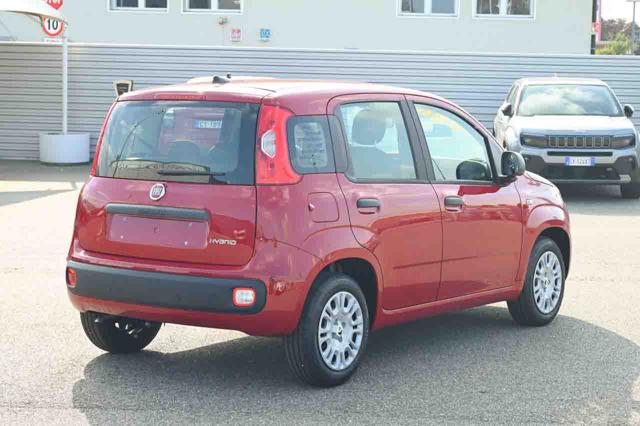 Fiat Panda 1.0 FireFly S&S GPL Icon - foto 3 di 20