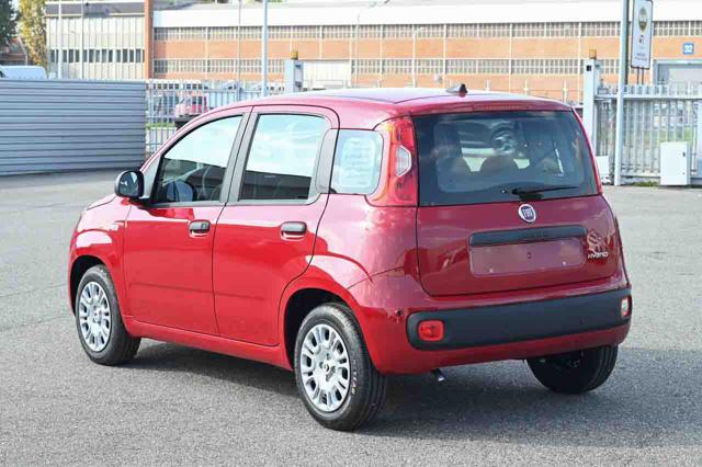 Fiat Panda 1.0 FireFly S&S GPL Icon - foto 4 di 20