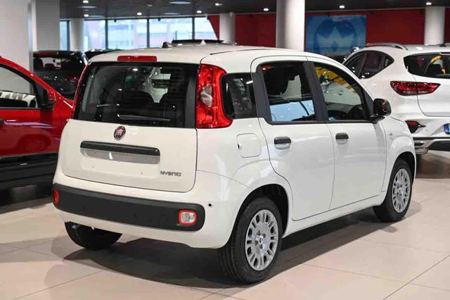 Fiat Panda 1.0 FireFly S&S GPL Icon - foto 3 di 4