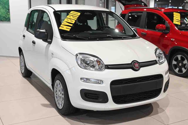 Fiat Panda 1.0 FireFly S&S GPL Icon - foto 2 di 4