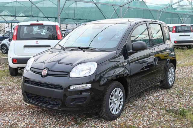 Fiat Panda 1.0 FireFly S&S GPL Pop, del 2026, in vendita a Pianezza (TO)