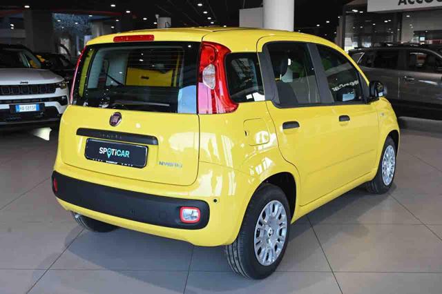 Fiat Panda 1.0 FireFly S&S Hybrid Icon - foto 3 di 20