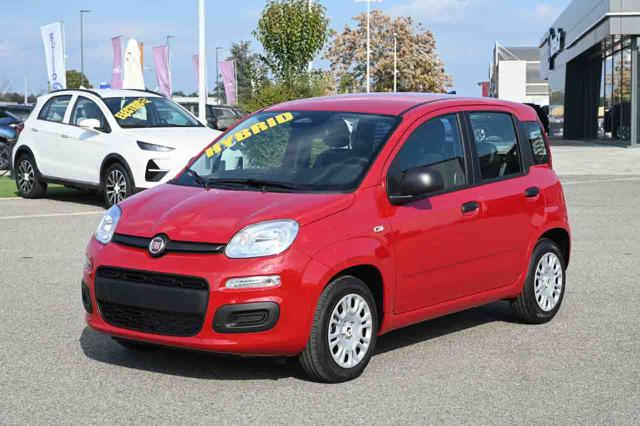 Fiat Panda 1.0 FireFly S&S Hybrid Icon, del 2026, in vendita a Pianezza (TO)
