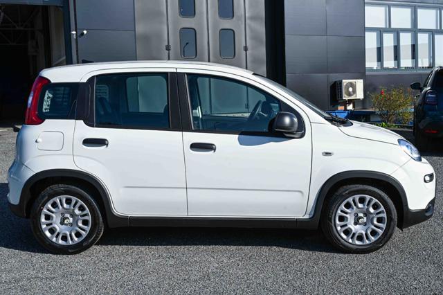 Fiat Panda 1.0 FireFly S&S Hybrid Pandina - foto 4 di 23