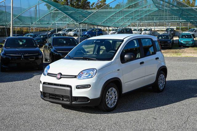 Fiat Panda 1.0 FireFly S&S Hybrid Pandina km 0 a PIANEZZA