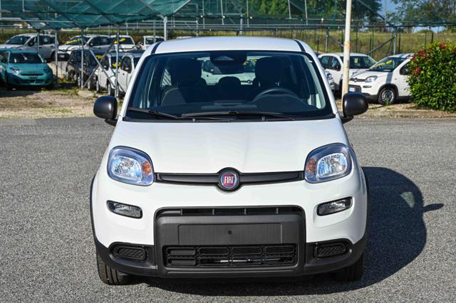 Fiat Panda 1.0 FireFly S&S Hybrid Pandina - foto 2 di 23