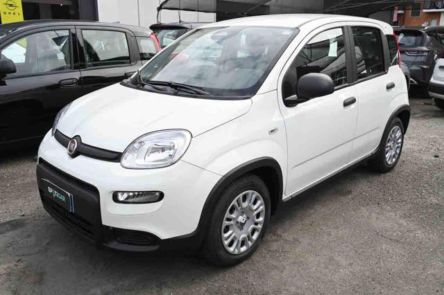 Fiat Panda 1.0 FireFly S&S Hybrid km 0 a PIANEZZA