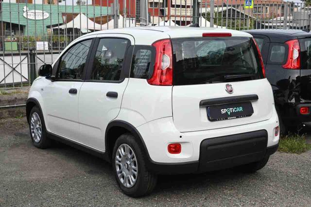 Fiat Panda 1.0 FireFly S&S Hybrid - foto 4 di 15