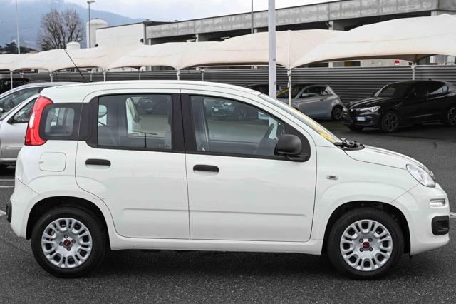 Fiat Panda 1.0 FireFly S&S Hybrid - foto 4 di 4