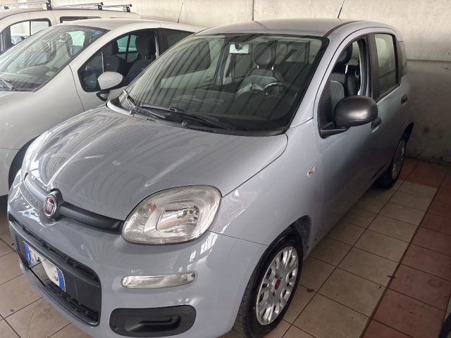 Fiat Panda 1.0 FireFly S&S Hybrid usato a ASIGLIANO VENETO