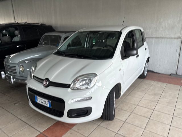 Fiat Panda benzina usato a ASIGLIANO VENETO
