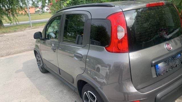Fiat Panda 1.0 FireFly S&S Hybrid usato a ASIGLIANO VENETO