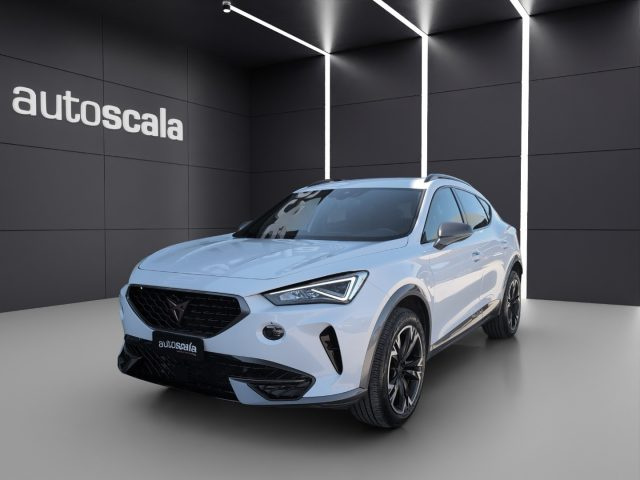 CUPRA Formentor 2.0 TDI 4Drive DSG usato a NAPOLI