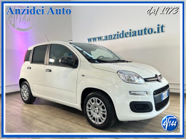 Fiat Panda Van 1.0 Hybrid 2 posti usato a ROMA