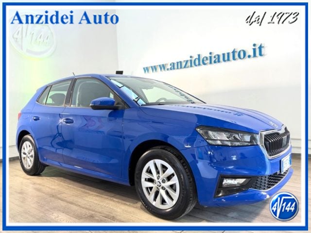 Skoda Fabia 1.0 TSI 95 CV Selection usato a ROMA