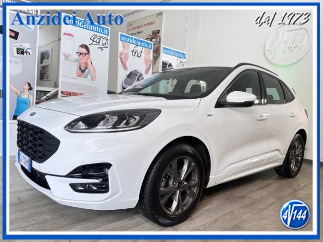 Ford Kuga 1.5 EcoBlue 120 CV aut. 2WD ST-Line - foto 3 di 4