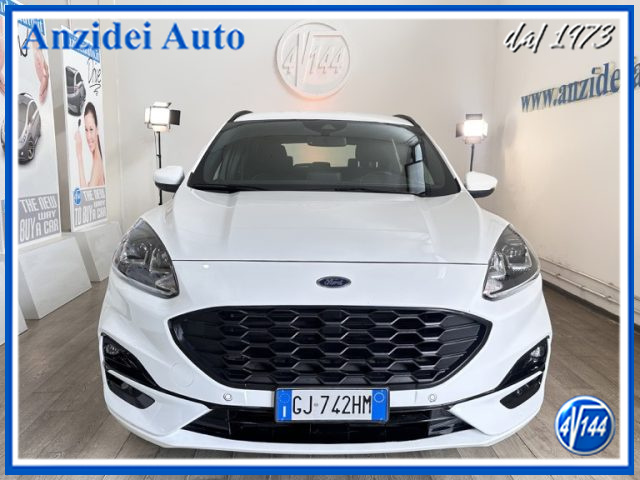 Ford Kuga 1.5 EcoBlue 120 CV aut. 2WD ST-Line - foto 2 di 4