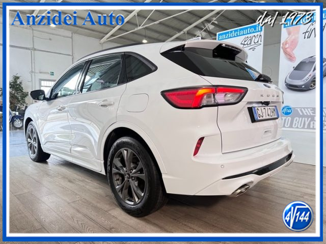 Ford Kuga 1.5 EcoBlue 120 CV aut. 2WD ST-Line - foto 4 di 4