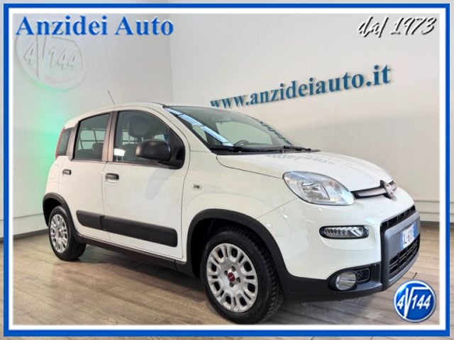 Fiat Panda N1 1.0 Hybrid Street Van 4 posti, del 2022, 23.400 km, in vendita a Roma (RM)