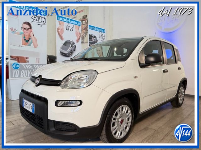 Fiat Panda 1.0 Hybrid - foto 3 di 4