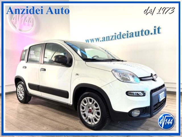 Fiat Panda N1 1.0 Hybrid Street Van 4 posti, del 2022, 24.300 km, in vendita a Roma (RM)