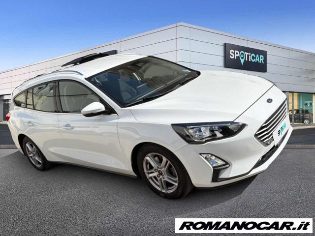 Ford Focus 1.5 EcoBlue 120 CV automatico SW Business Co-Pilot - foto 3 di 4