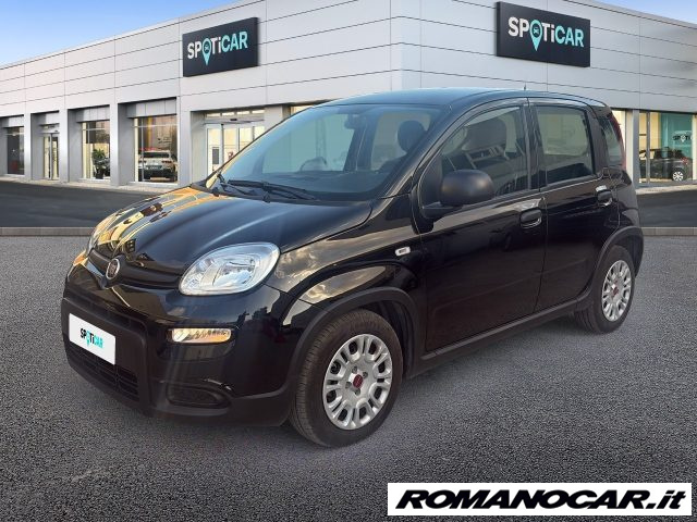Fiat Panda 1.0 FireFly S&S Hybrid usato a FOGGIA