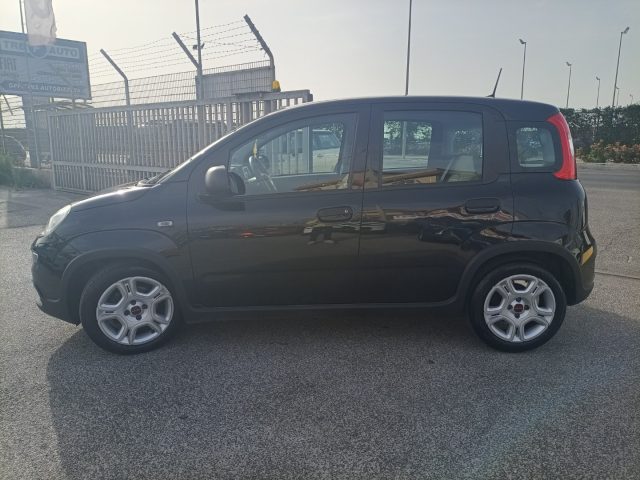 Fiat Panda 1.0 FireFly Hybrid ANDROID/CARP UNIPROPRIETARIO!! - foto 4 di 4