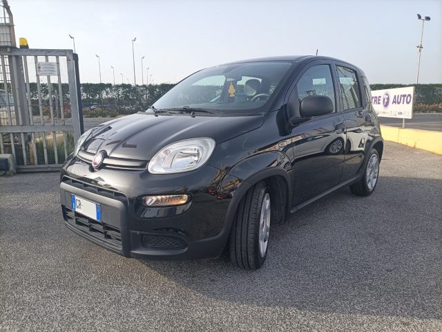 Fiat Panda 1.0 FireFly Hybrid ANDROID/CARP UNIPROPRIETARIO!! - foto 3 di 4
