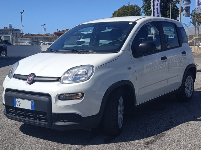 Fiat Panda 1.0 FireFly S&S Hybrid - foto 3 di 4
