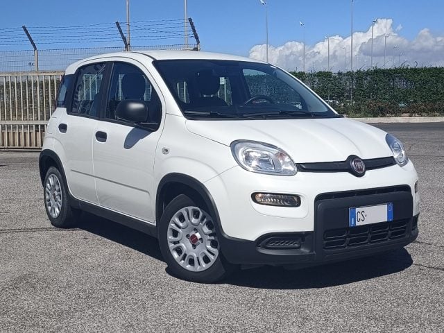 Fiat Panda 1.0 FireFly S&S Hybrid usato a FIUMICINO