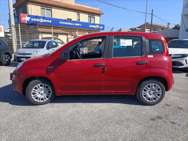 Fiat Panda 1.0 Hybrid KIT 5 POSTI!! PREZZO REALE - foto 4 di 4