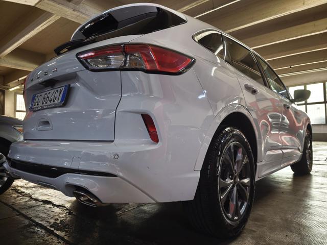 Ford Kuga 1500 TDCi ST-LINE CV.120 KM.38.000 GAR.11/2028 - foto 3 di 34