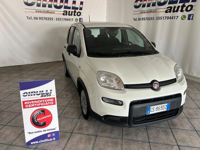 Fiat Panda 1.0 FireFly S&S Hybrid City Life usato a SAN CESAREO